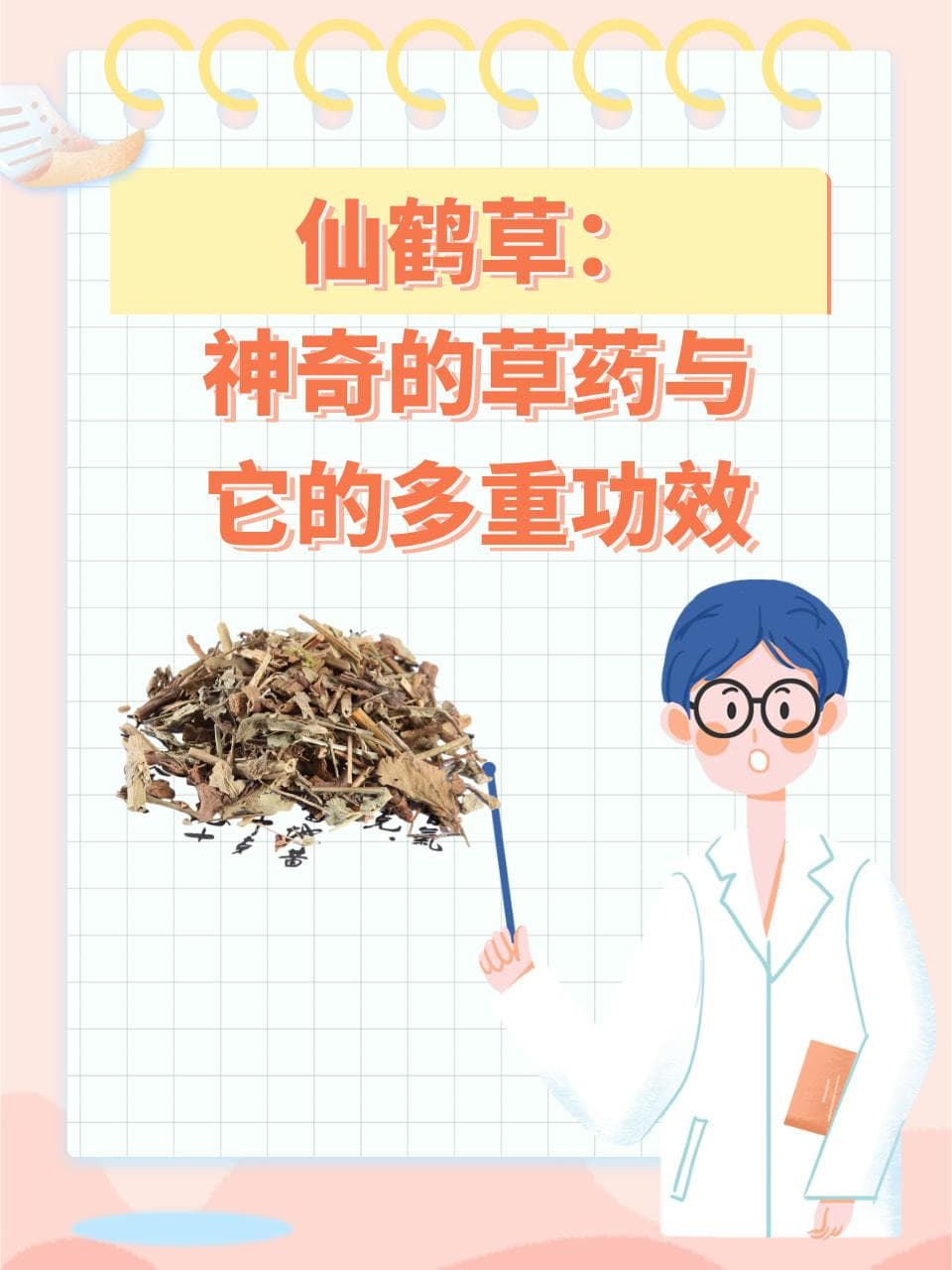 仙鹤草：神奇的草药与它的多重功效