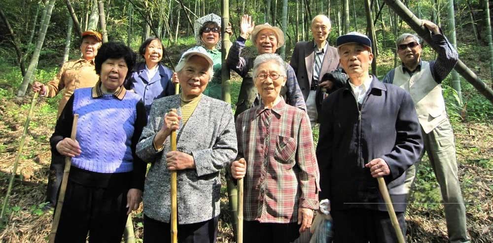 什么是候鸟式养老