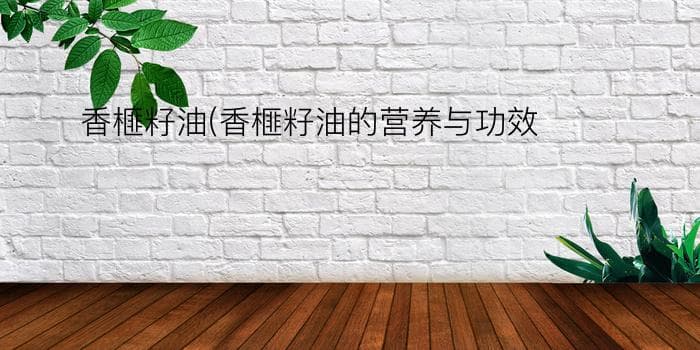 香榧籽油的营养与功效