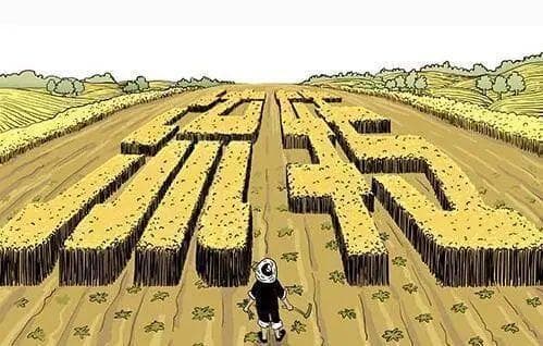 【以案释法】土地经营权流转中合同效力与合同僵局的认定