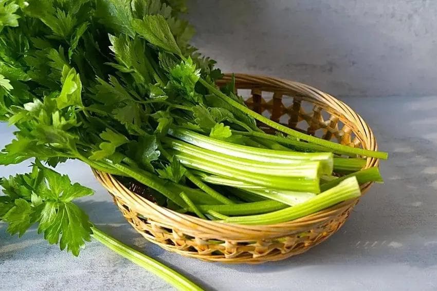 中医经典推荐：春天要常吃的8种天然护肝菜