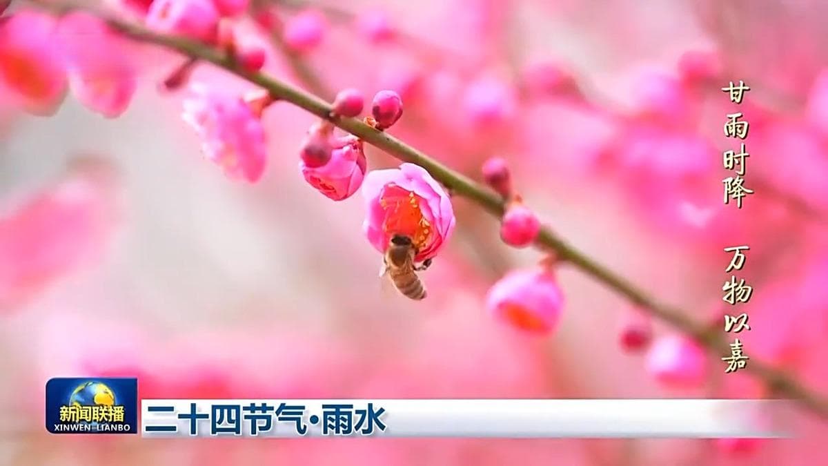文化中国行丨二十四节气·雨水 好雨知时节 当春乃发生
