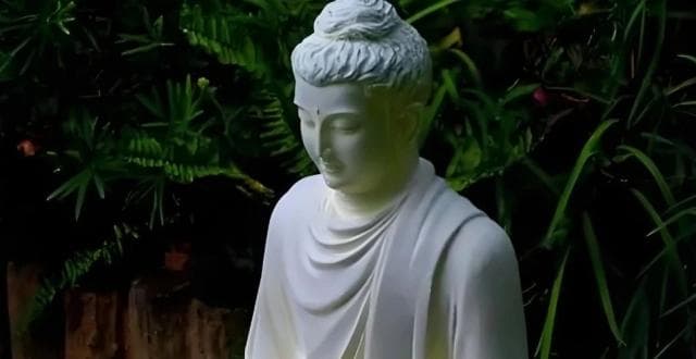 “醍醐”究竟是什么？为什么醍醐灌顶会让人大彻大悟？