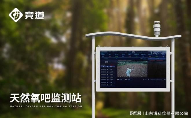 负氧离子监测系统：为城市空气净化提供数据支持