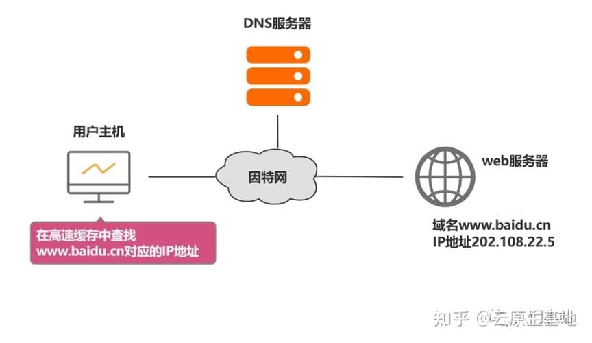 网关和DNS的工作原理及其在网络中的作用是什么？