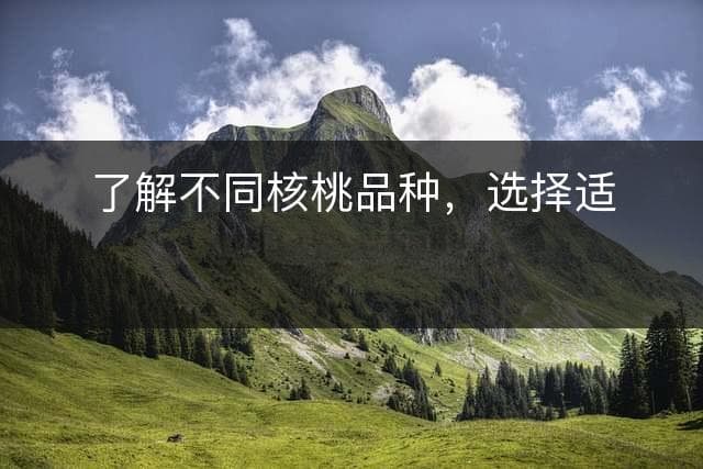 了解不同核桃品种，选择适合自己的口味