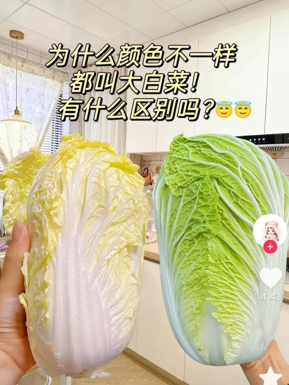 网友热议黄绿大白菜，专家：仅是品种差异