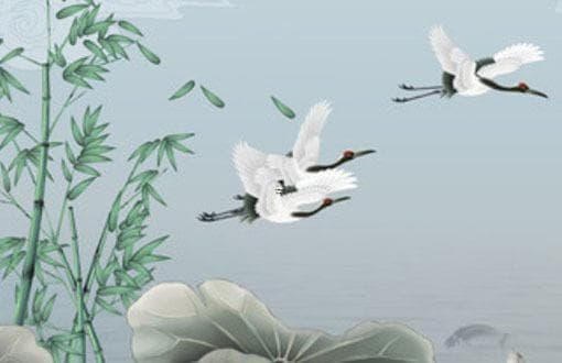 八字比肩大运解析：比肩星运行影响详解