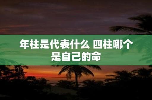 年柱是代表什么 四柱哪个是自己的命