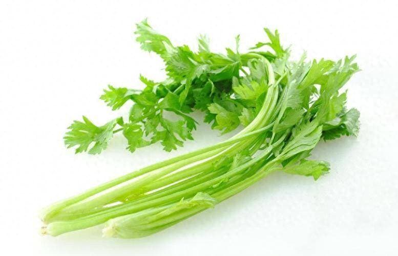 芹菜施肥门道多，各阶段精准操作，助力产量品质双提升