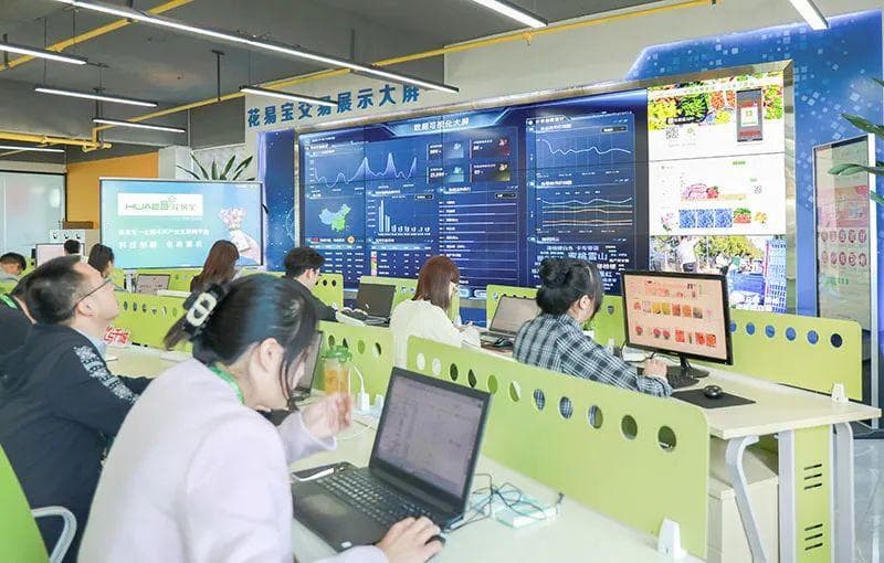 人民网点赞、关注：“云花”乘“数”而兴