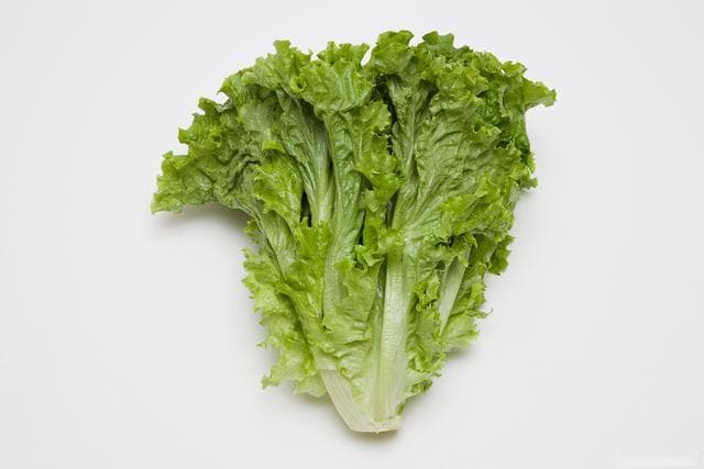 生菜三明治怎么做，教你简单做法，上班族10分钟搞定早餐
