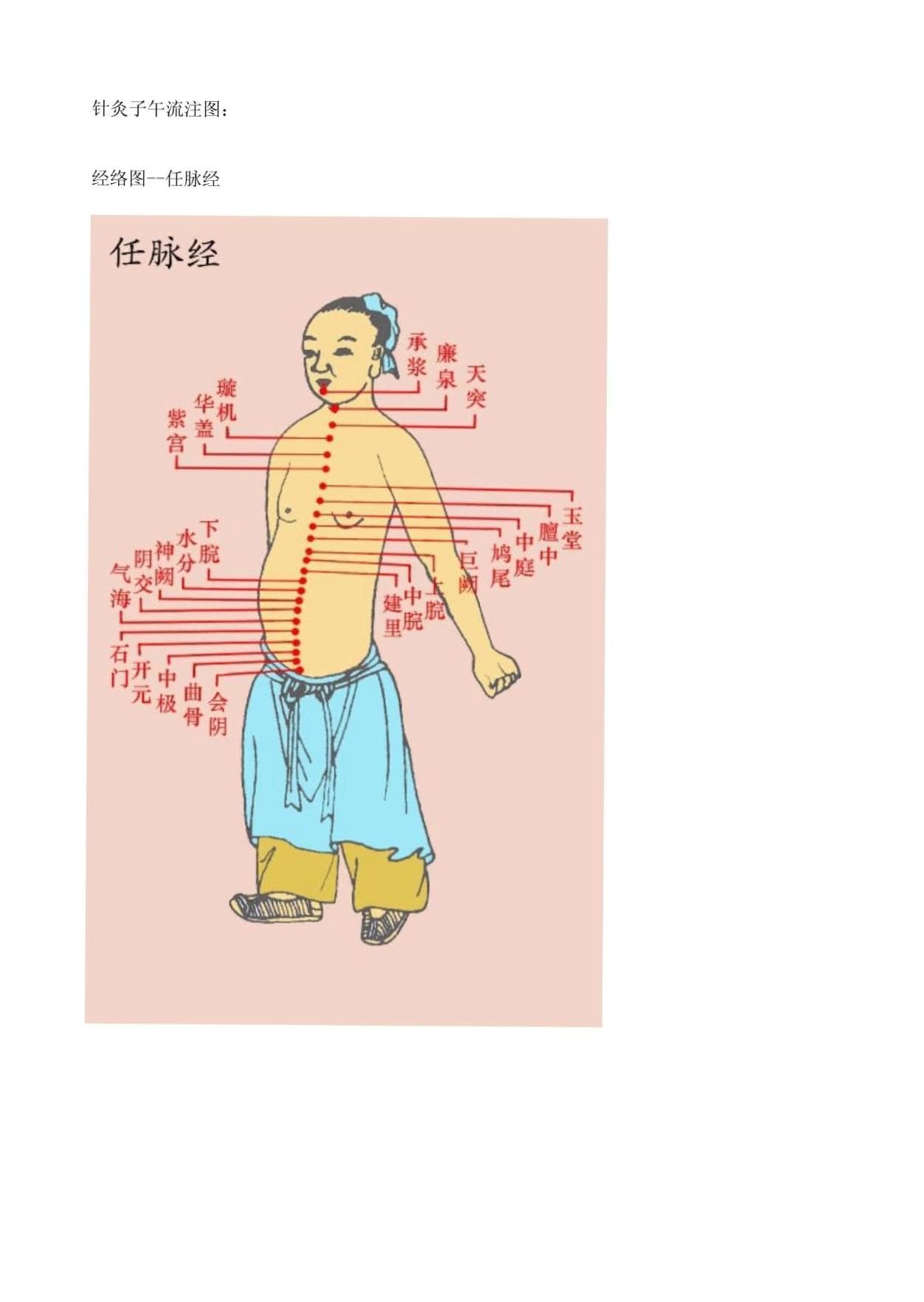 针灸子午流注图
