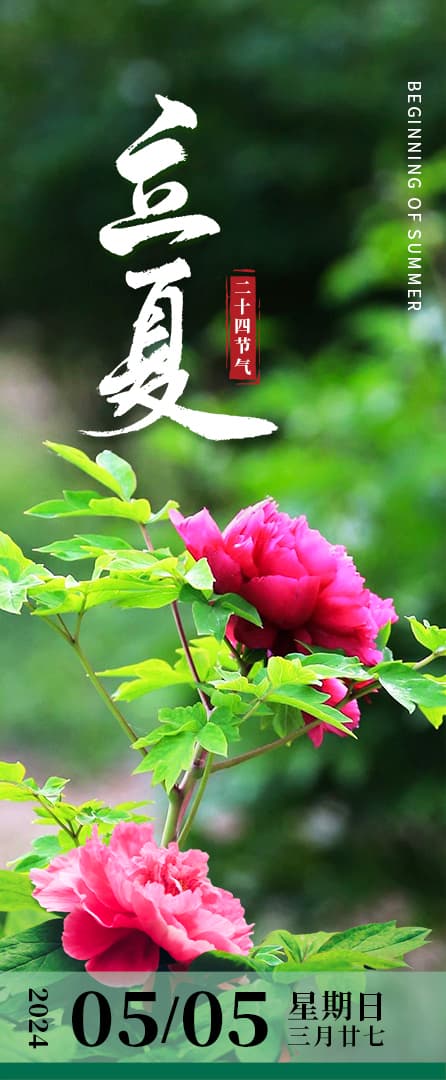 立夏：小荷立蜻蜓，夏始昼渐长