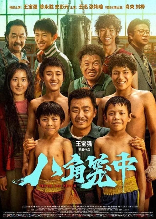 王宝强获奖感言引关注，回顾2024"欺诈风波"始末