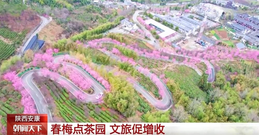 “赏花游”“文化游”“滨海游”热力涌动 文旅融合新业态激活发展新动能