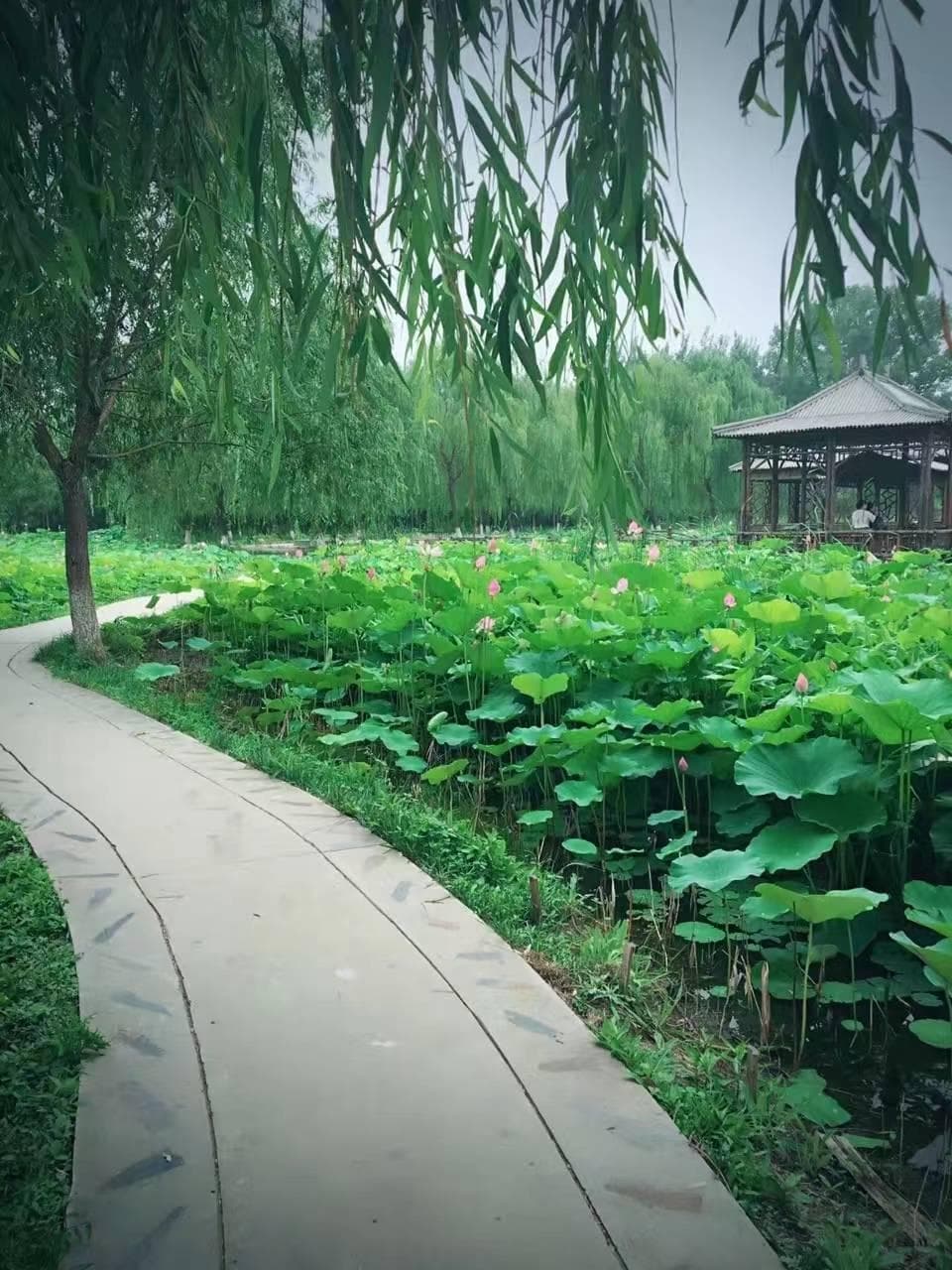 汽车久放不开，要不要隔几天启动一次？不启动，车早晚坏！这话是真的吗？