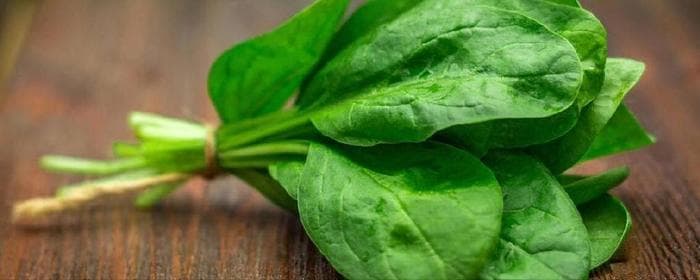 圆叶菠菜和尖叶菠菜：从外观到烹饪的全方位对比