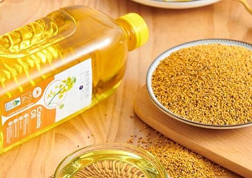 为什么要选用低芥酸菜籽油？