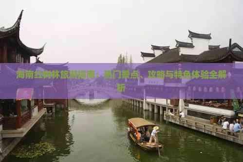 海南红树林旅游指南：热门景点、攻略与特色体验全解析