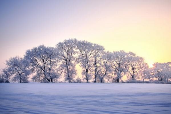 吉林雾凇八大观赏地全攻略：从市区到郊区，尽享冰雪奇观