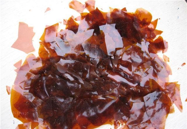 什么是虫胶片 虫胶片使用方法