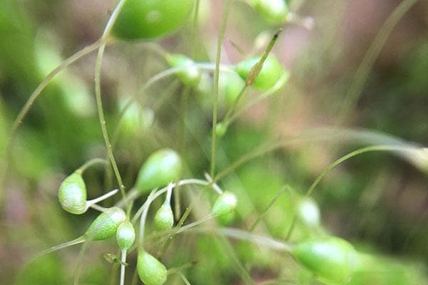 立春：从时间计算到三候特征，揭秘首个节气的奥秘