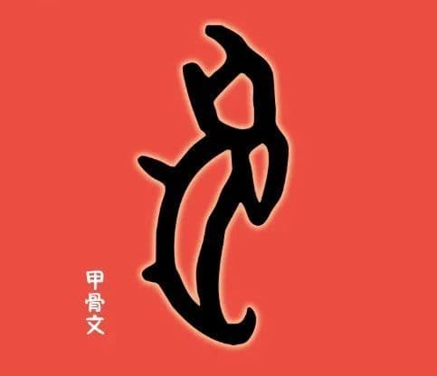 “兔”形字，玉兔传说...聊聊兔子与传统文化的关系