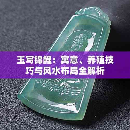 玉写锦鲤：寓意、养殖技巧与风水布局全解析