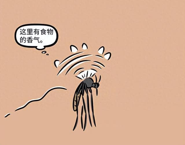 《非人哉》：蚊子精如何靠吸血成神？