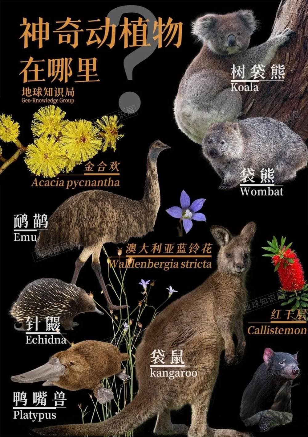 世界最小大洲，极限操作能养活多少人