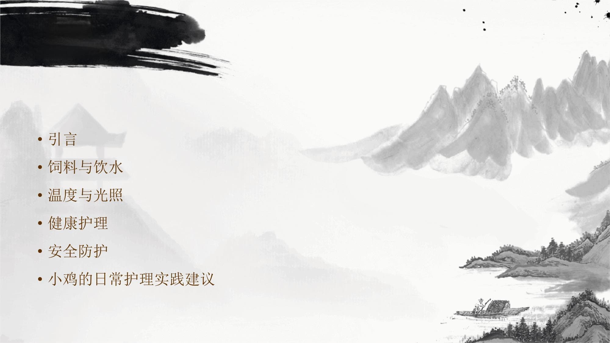 小鸡的日常护理指南