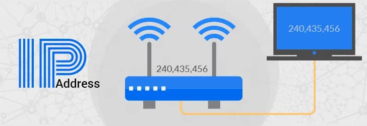 IP 地址的结构和类型