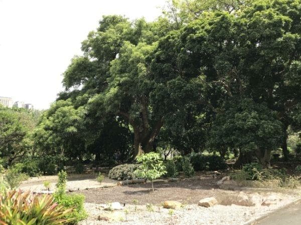 多伦多大学学费详解：本科、硕士、博士费用全攻略