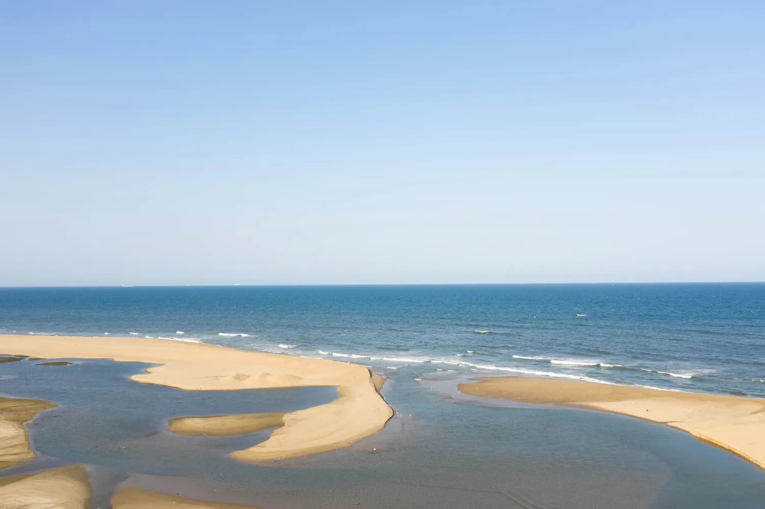 秋冬打卡奉贤：海湾、东海观音寺必去！