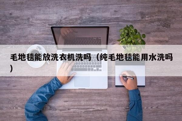 毛地毯能放洗衣机洗吗（纯毛地毯能用水洗吗）