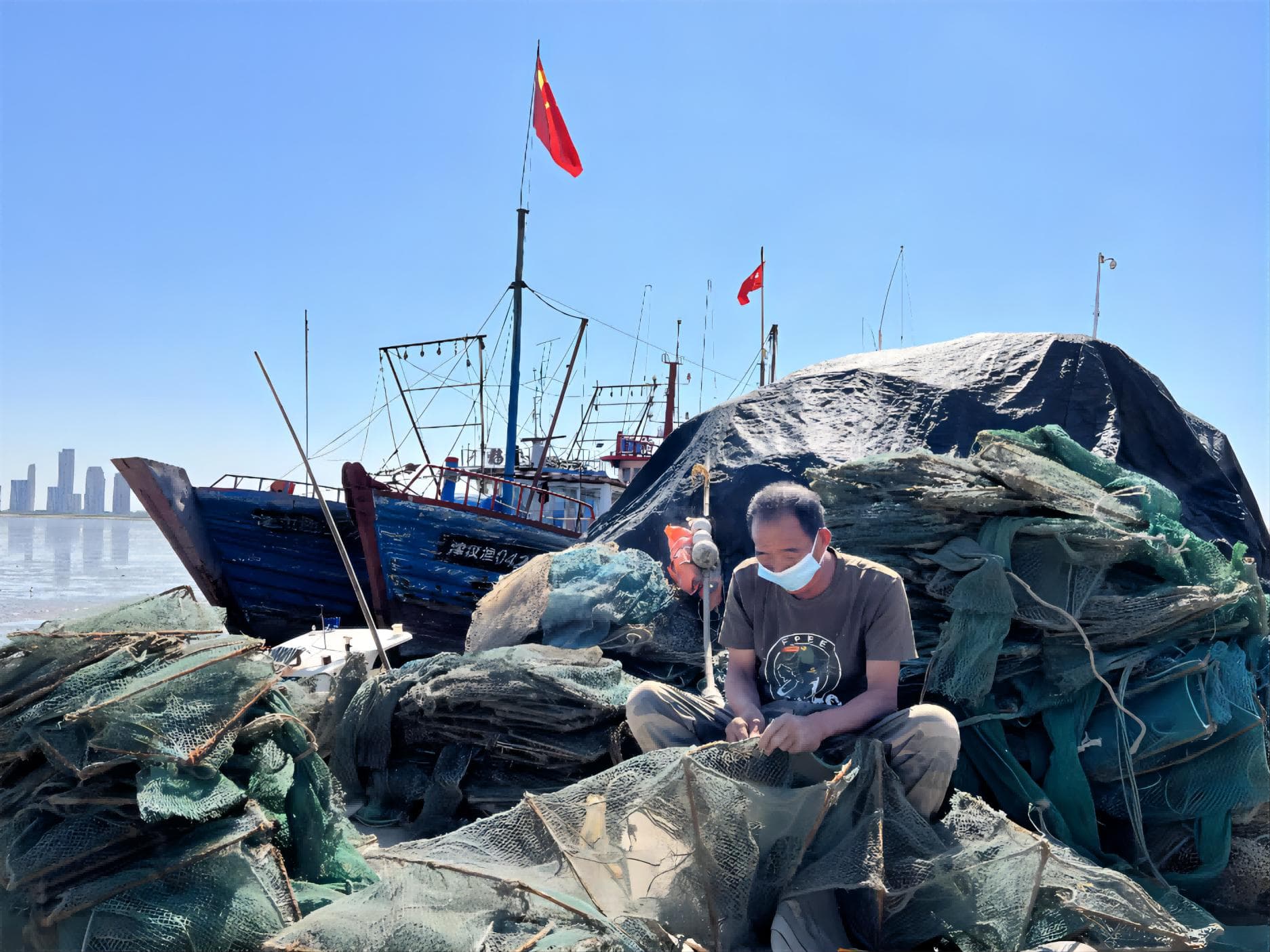 天津：美丽海湾展新颜 “蓝绿交织”绘新篇
