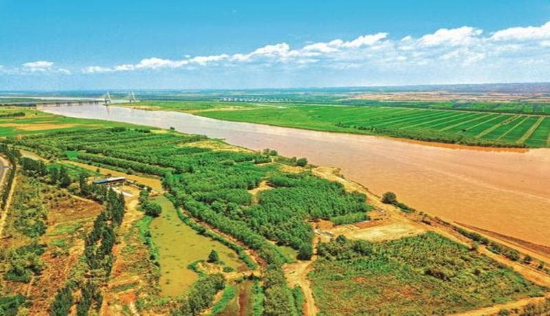 生物矿化治沙工程实践与沙漠边际走廊的生态修复