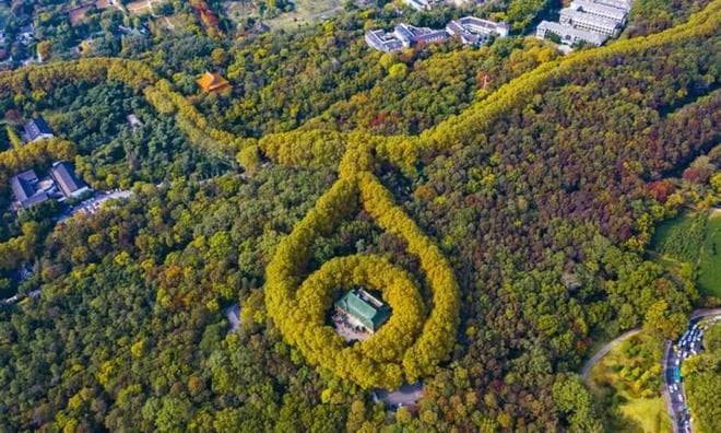 宋美龄有多少财产？去世后仅有12万存款，固定资产却说明了一切