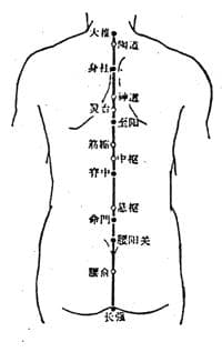至阳穴：位置、功效与临床应用详解