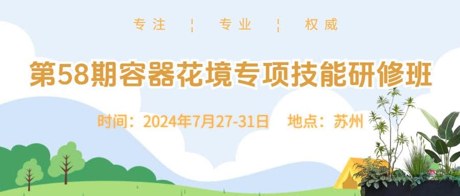 25个容器花园创意：在小空间种植植物，看看有合适你的吗？