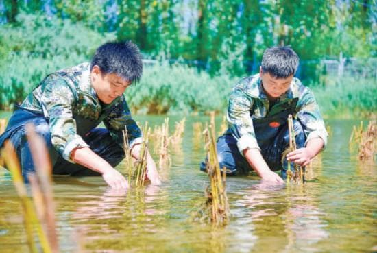密云水库生态修复显成效，今春已迎9000只候鸟