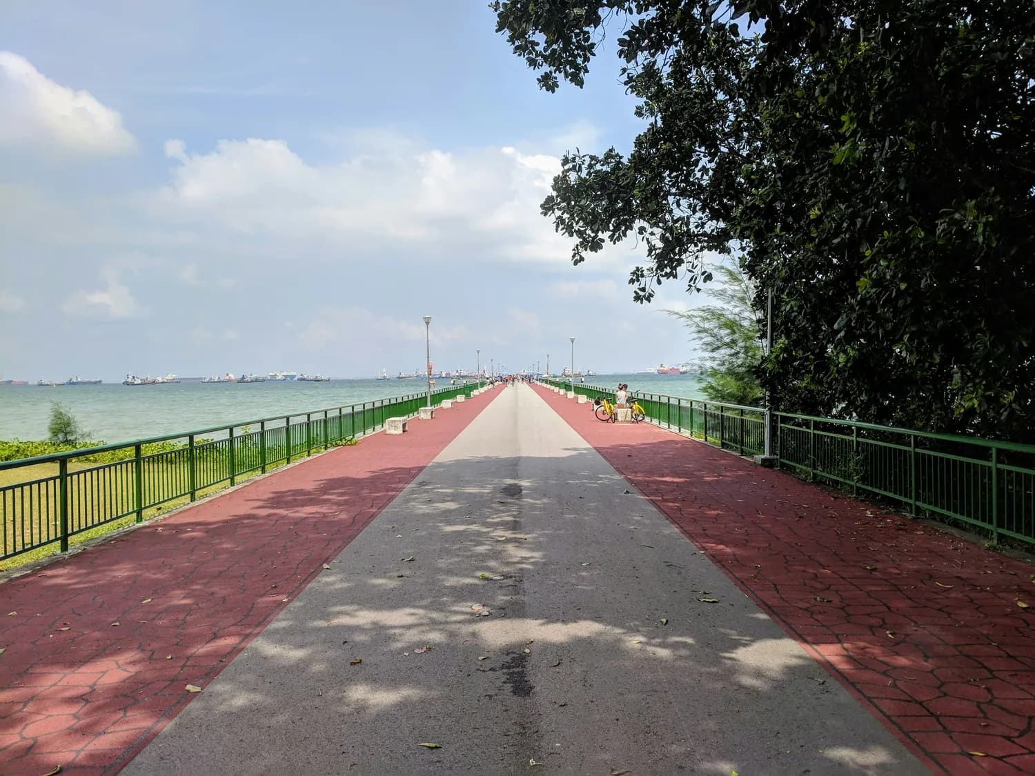 秋冬打卡苏州最美步道：金鸡湖&环古城河