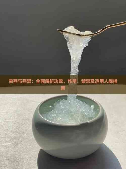 雪燕与燕窝：全面解析功效、作用、禁忌及适用人群指南