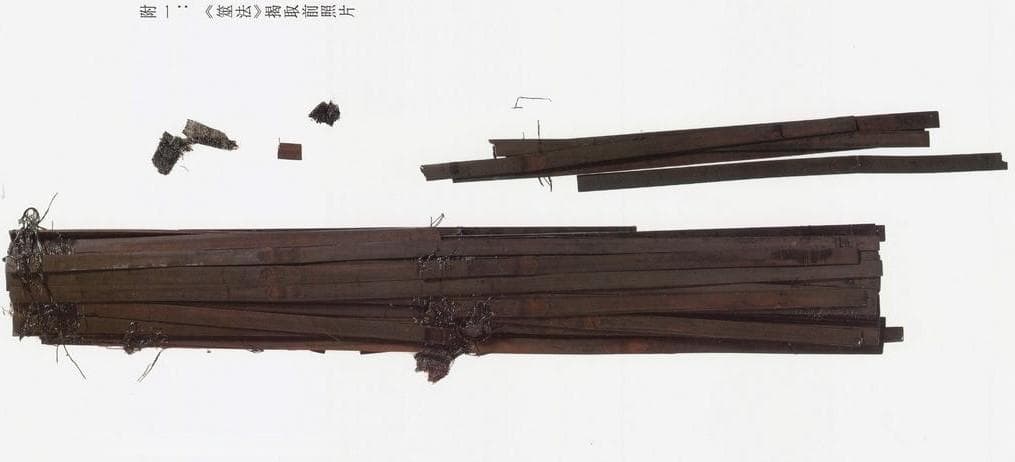 判断“清华简之真伪”不难，只要清华大学愿意
