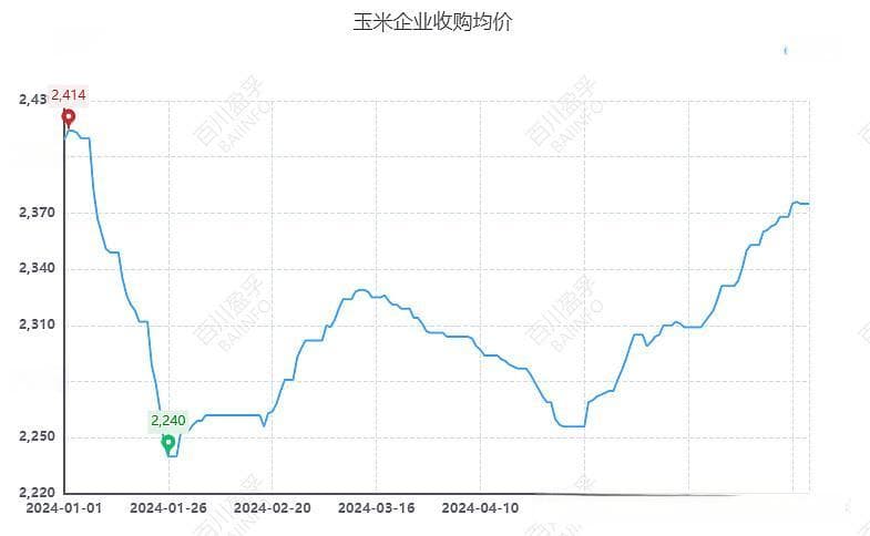 2024年已过半，玉米市场走势如何？