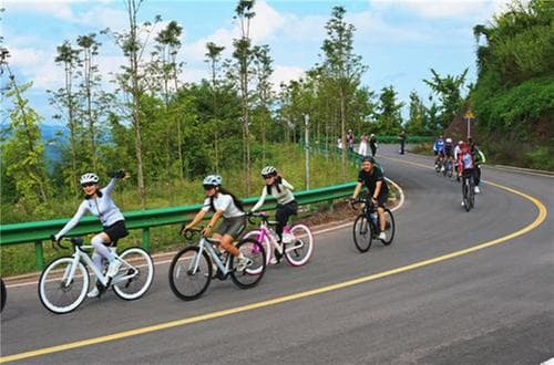 丹棱长秋山旅游公路串起古村银杏，秋日风光正当时