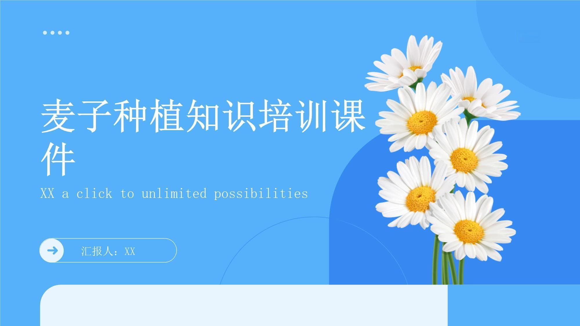 麦子种植知识培训课件