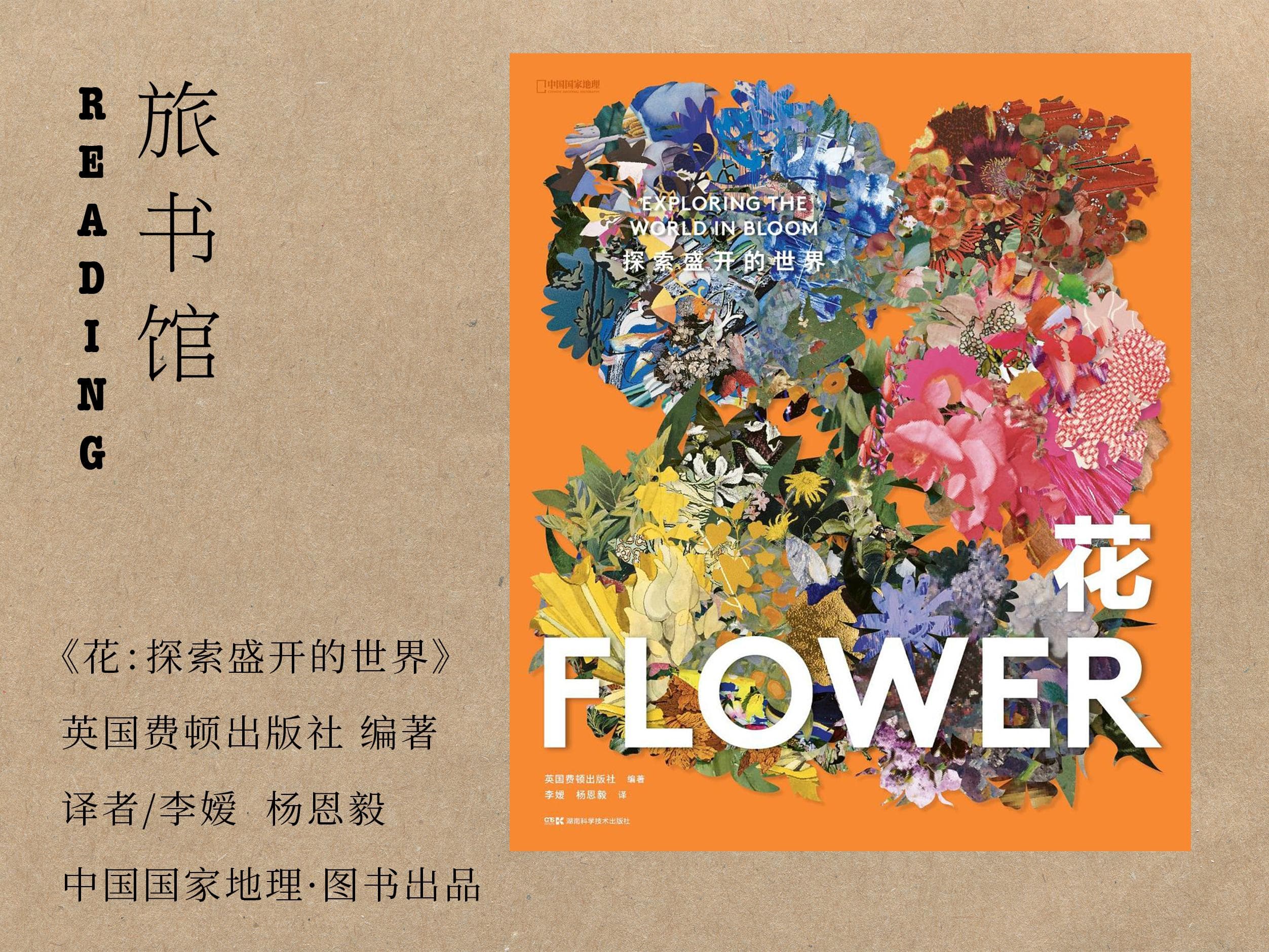 从一朵花里，看见“盛开”的艺术史