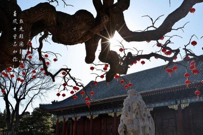 七九遇“三象”：河未开、雪又降、雷声起，农谚里的天气密码